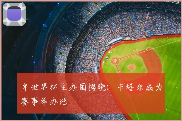 年世界杯主办国揭晓:卡塔尔成为赛事举办地
