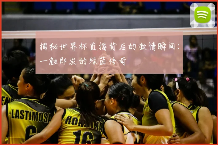 揭秘世界杯直播背后的激情瞬间：一触即发的绿茵传奇
